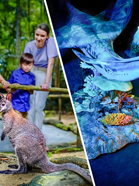 Combo: Gardens by the Bay + Singapore Night Safari Tickets - Image 1