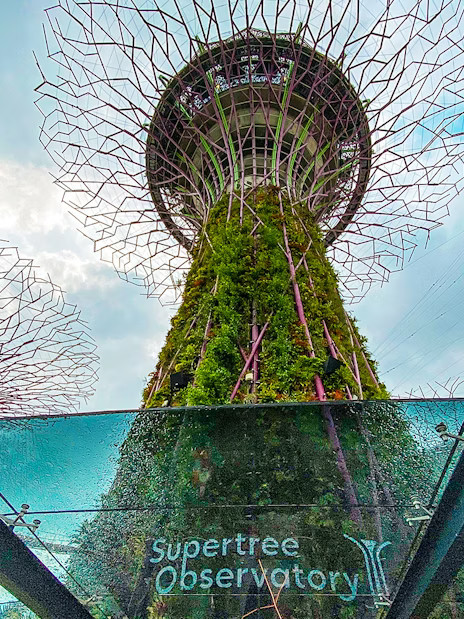 Gardens by the Bay Tickets: Cloud Forest (Jurassic World Experience) + Flower Dome + Supertree Observatory - Image 1