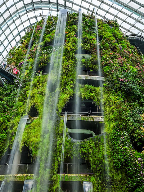 Gardens by the Bay Tickets: Cloud Forest (Jurassic World Experience) + Flower Dome - Image 1