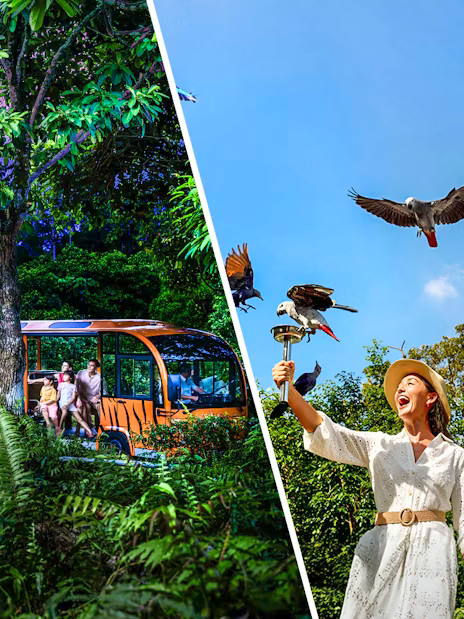 2-Park Combo: Night Safari + Bird Paradise Tickets - Image 1